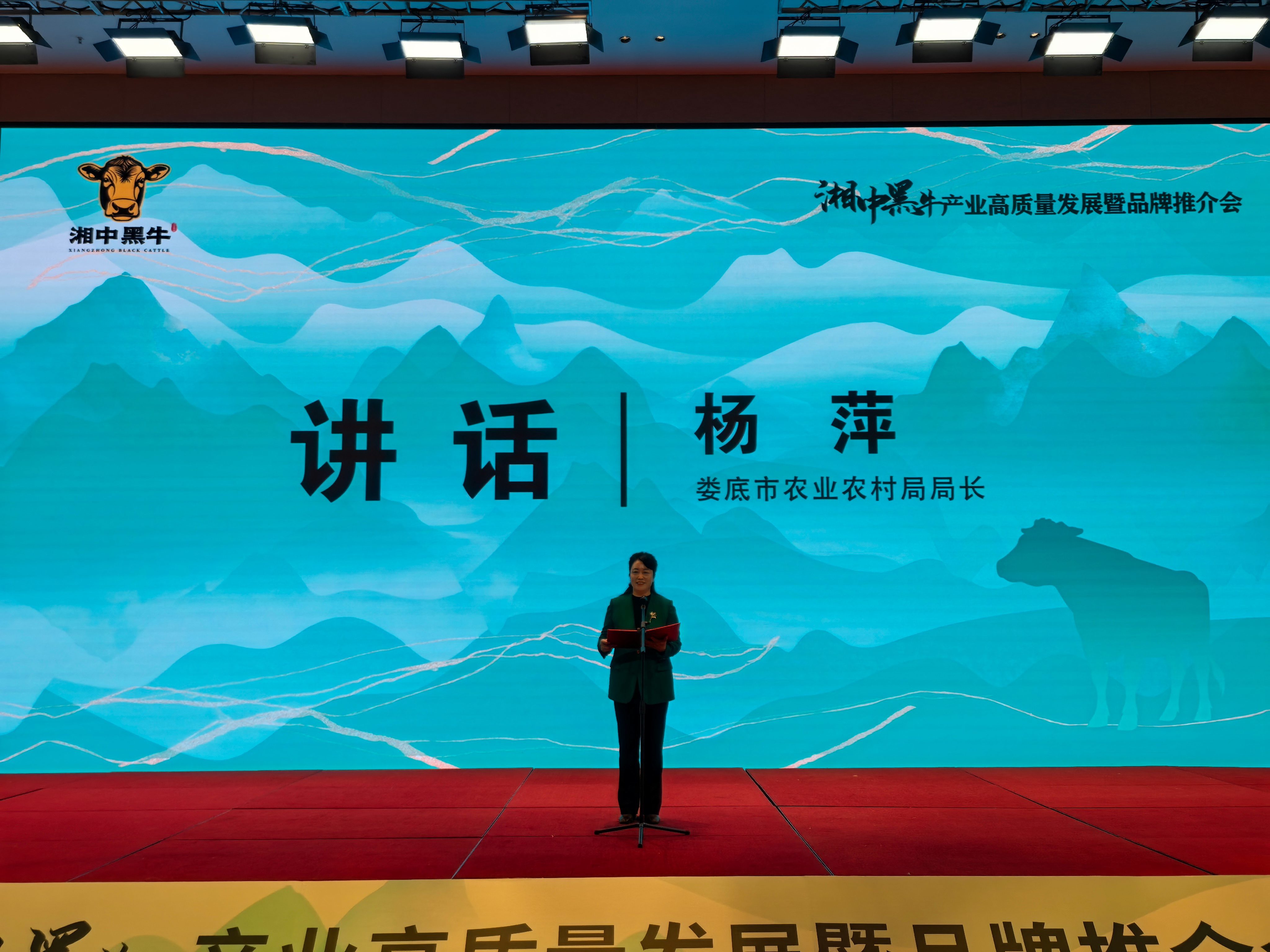 湘中黑牛长沙推介会擘画发展新蓝图 产业迈向高端化品牌化