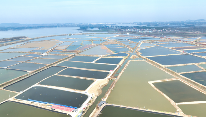 江西彭泽：专家送科技到一线 养殖户鱼塘边“充电”