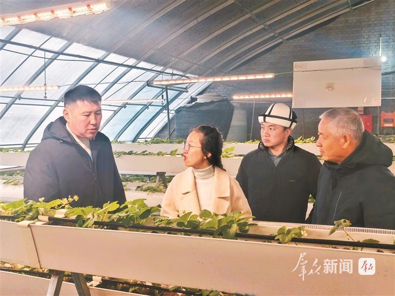 2025年12月12日，中亚五国职业农民培训班的学员来到渭南市农业科学研究院蒲城孙镇试验站，了解草莓种植技术（资料照片）。群众新闻记者 耿杨洋摄