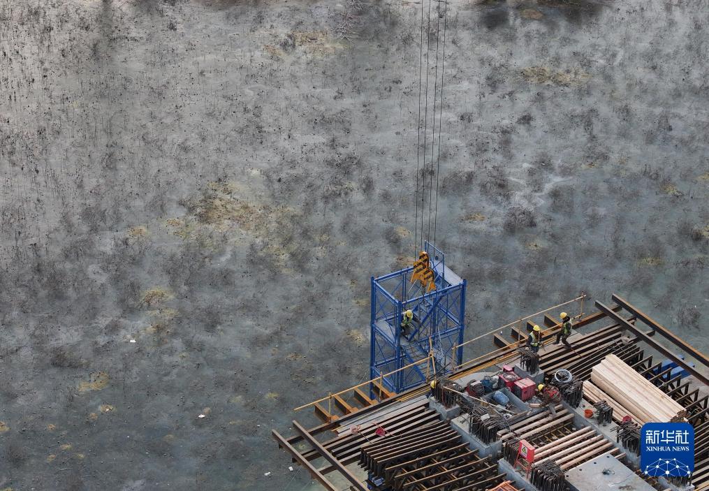 2024年1月25日，中铁二十局工人在位于陕西省西安市的西延高铁渭河特大桥施工现场工作。新华社记者 张博文 摄