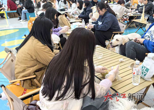 制作宠物美食。