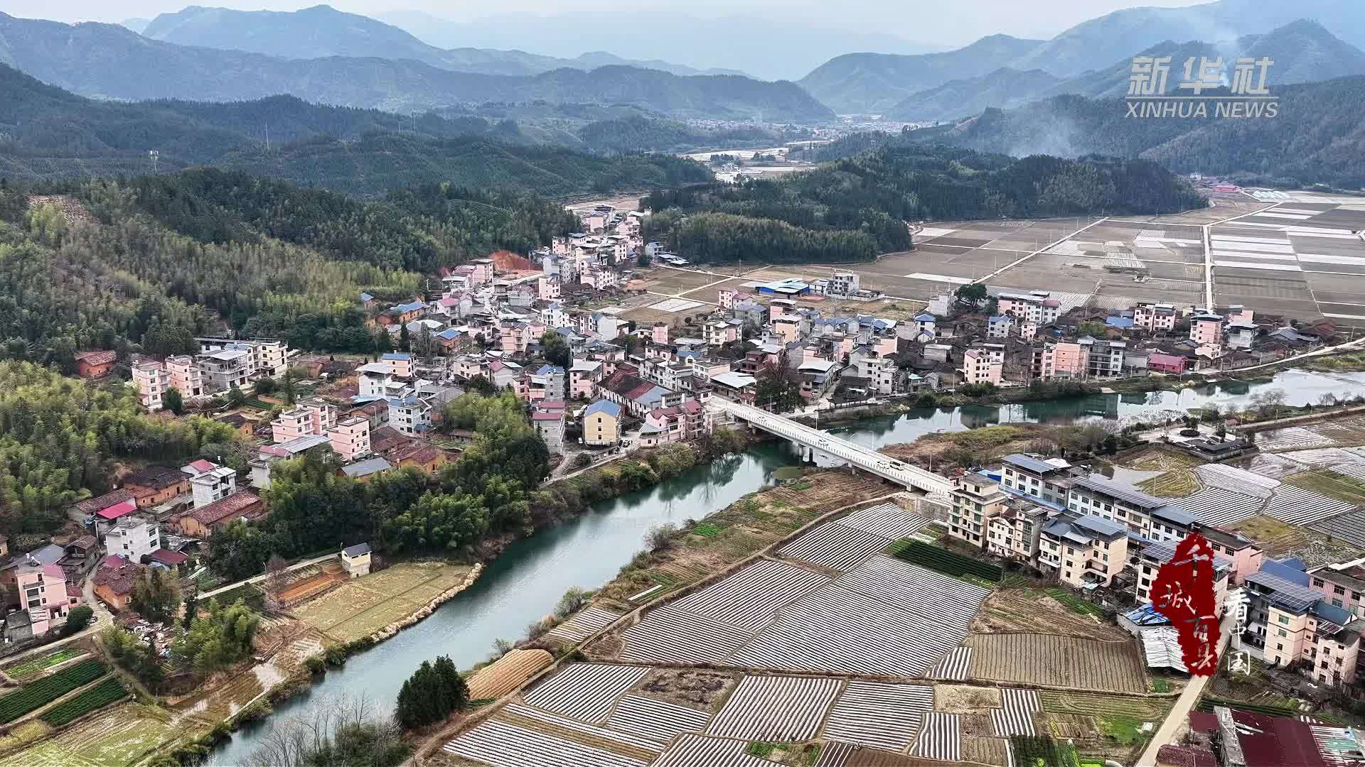 千城百县看中国丨福建松溪：冬日木耳采收忙