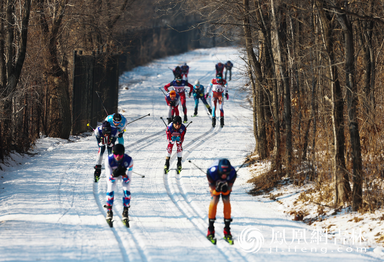 图集|雪上飞驰！第24届中国长春净月潭瓦萨国际滑雪节燃爆开赛