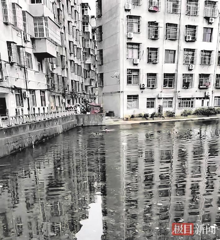 事发时胡明游向落水小孩 通讯员供图