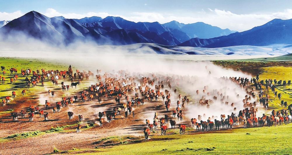 以“马”破题 山丹文旅的国际化突围