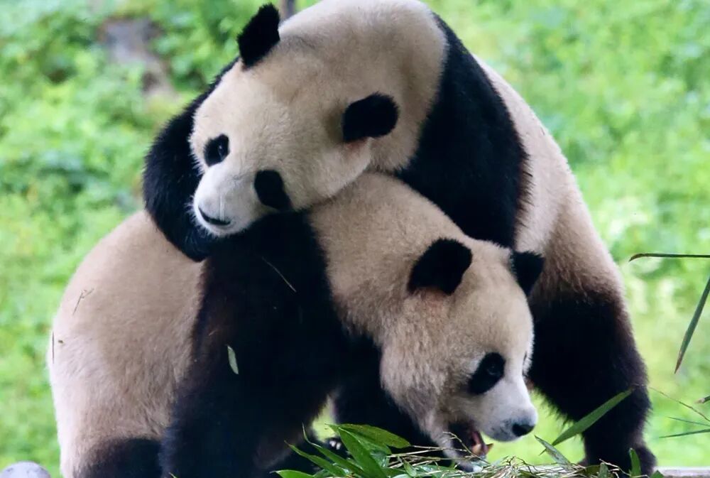 eb5e2327d574e75c870daf299444c3a - 副本.jpg