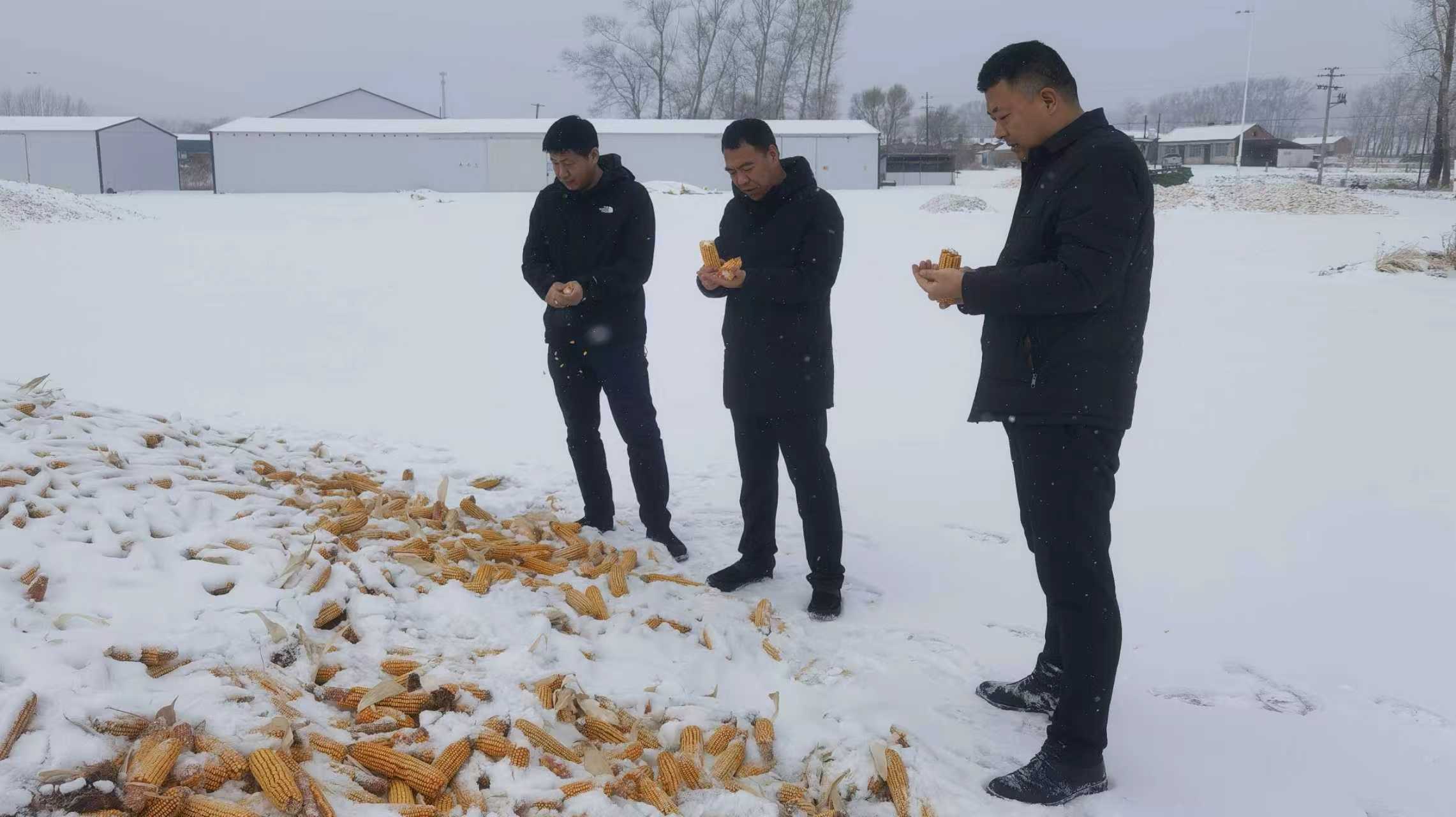 启动冬季粮食安全专项检查