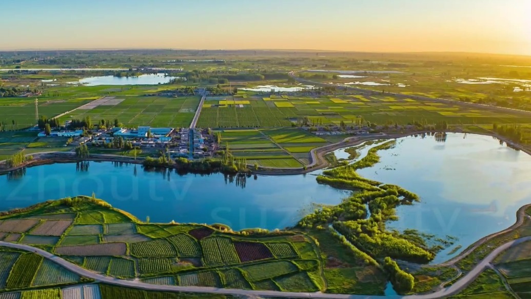 甘肃肃州系统推进湿地生态修复　构筑绿色屏障