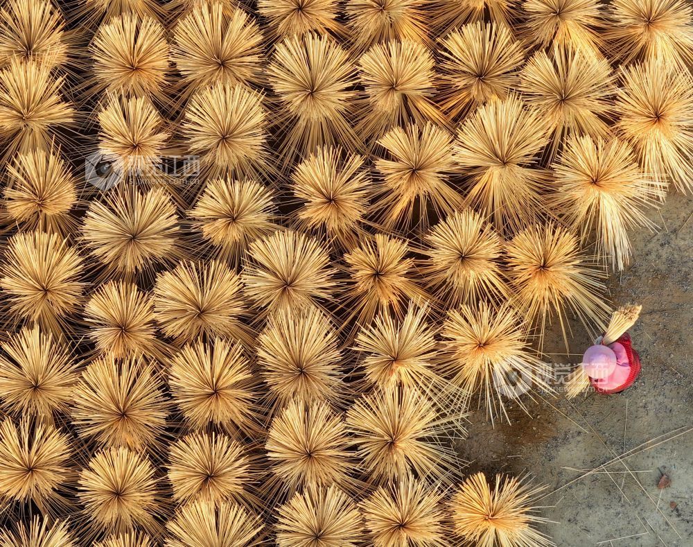 2026年1月6日，江西省吉安市泰和县桥头镇石壁村毛竹加工厂，农民在晾晒竹制品。