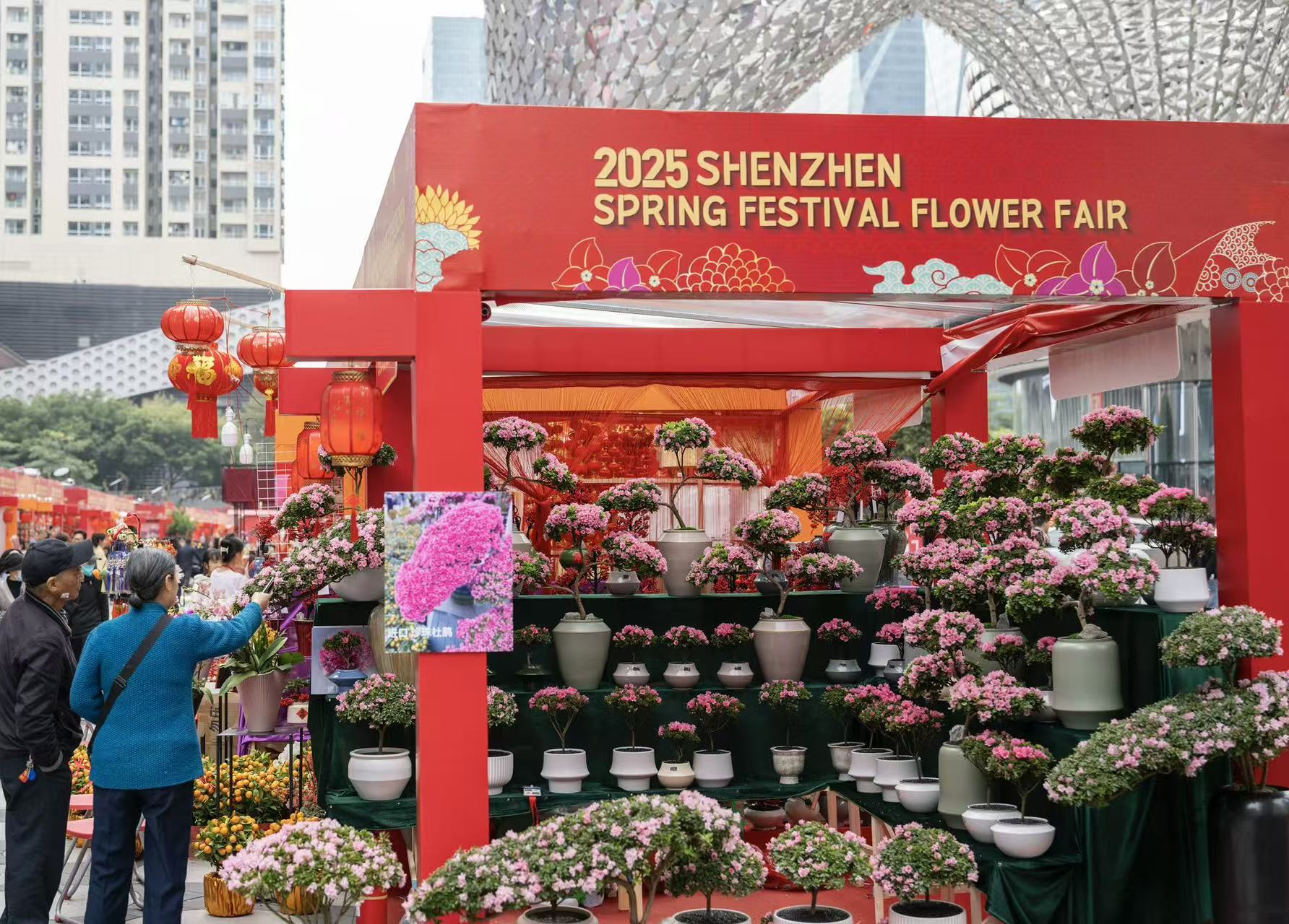 2026年深圳迎春花市时间定了！