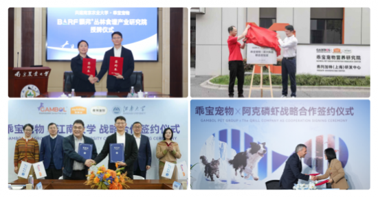 点击查看原始图片