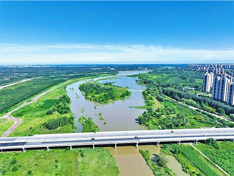 永定河固安段大广高速桥下游。（资料片）昝朝伟摄