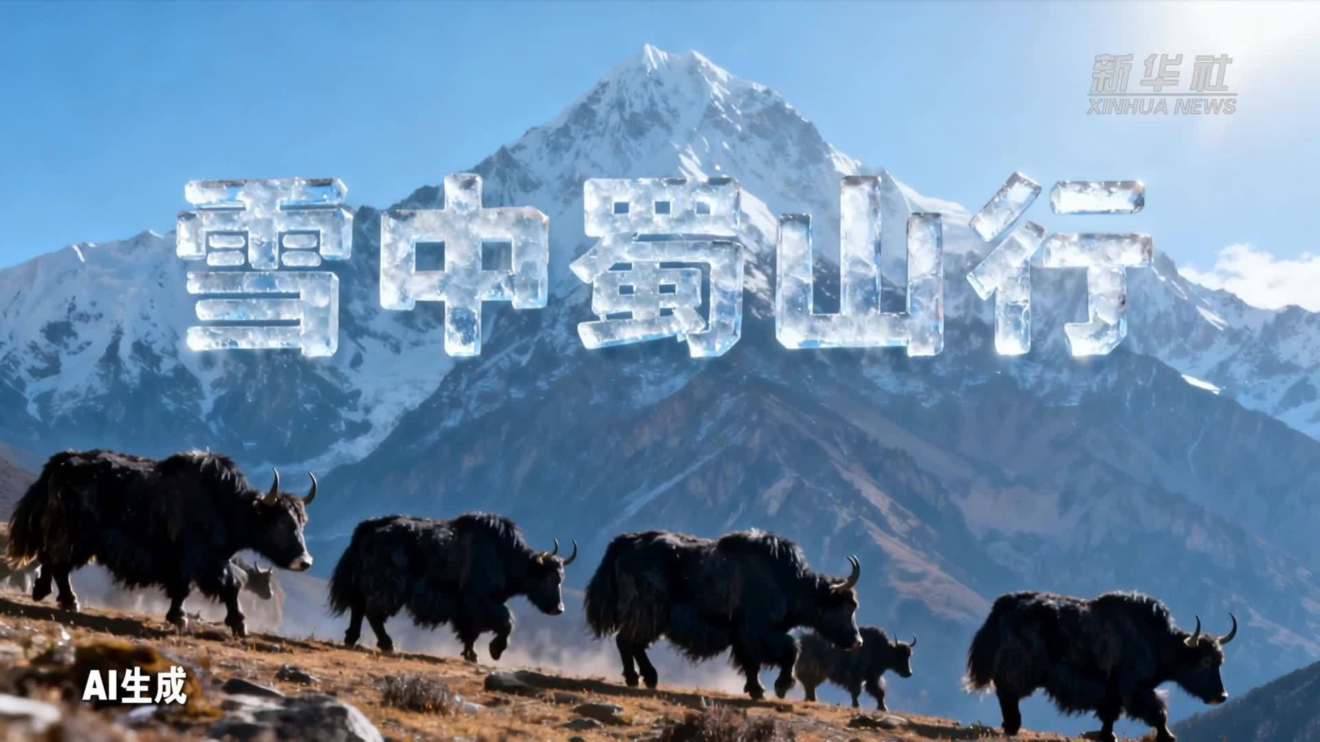 雪中蜀山行：莲宝叶则里的冰雪缘