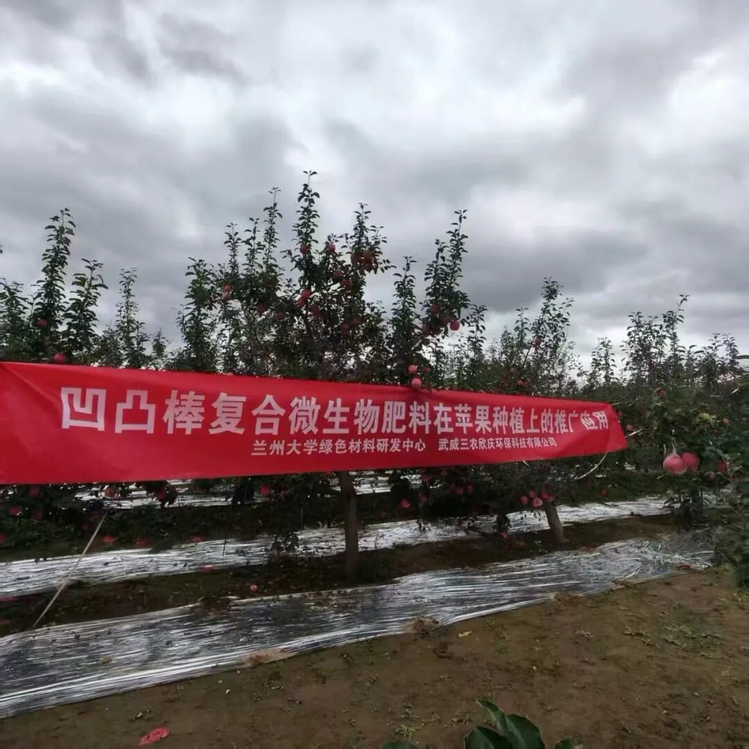 该技术运用于秦安县苹果产业