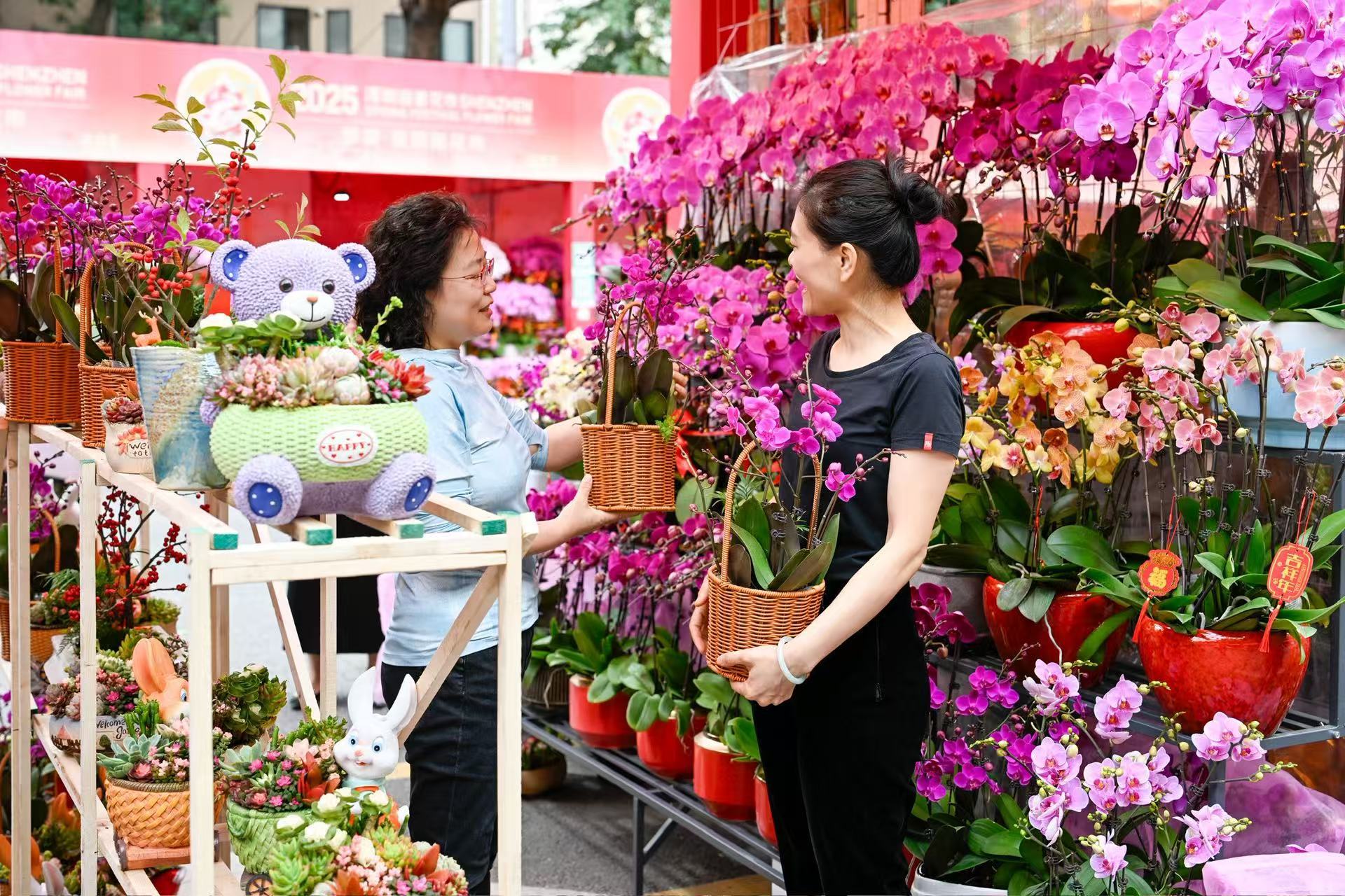 2026年深圳迎春花市时间定了！