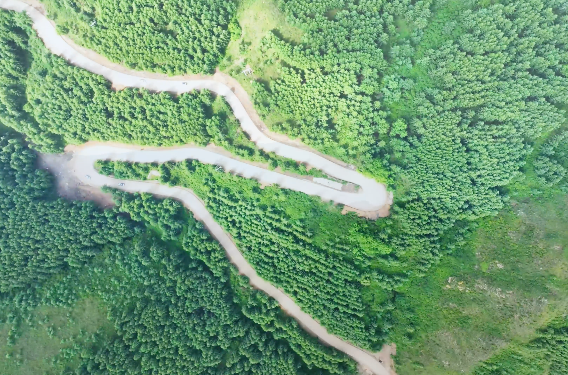 大美官儿 道地正北芪