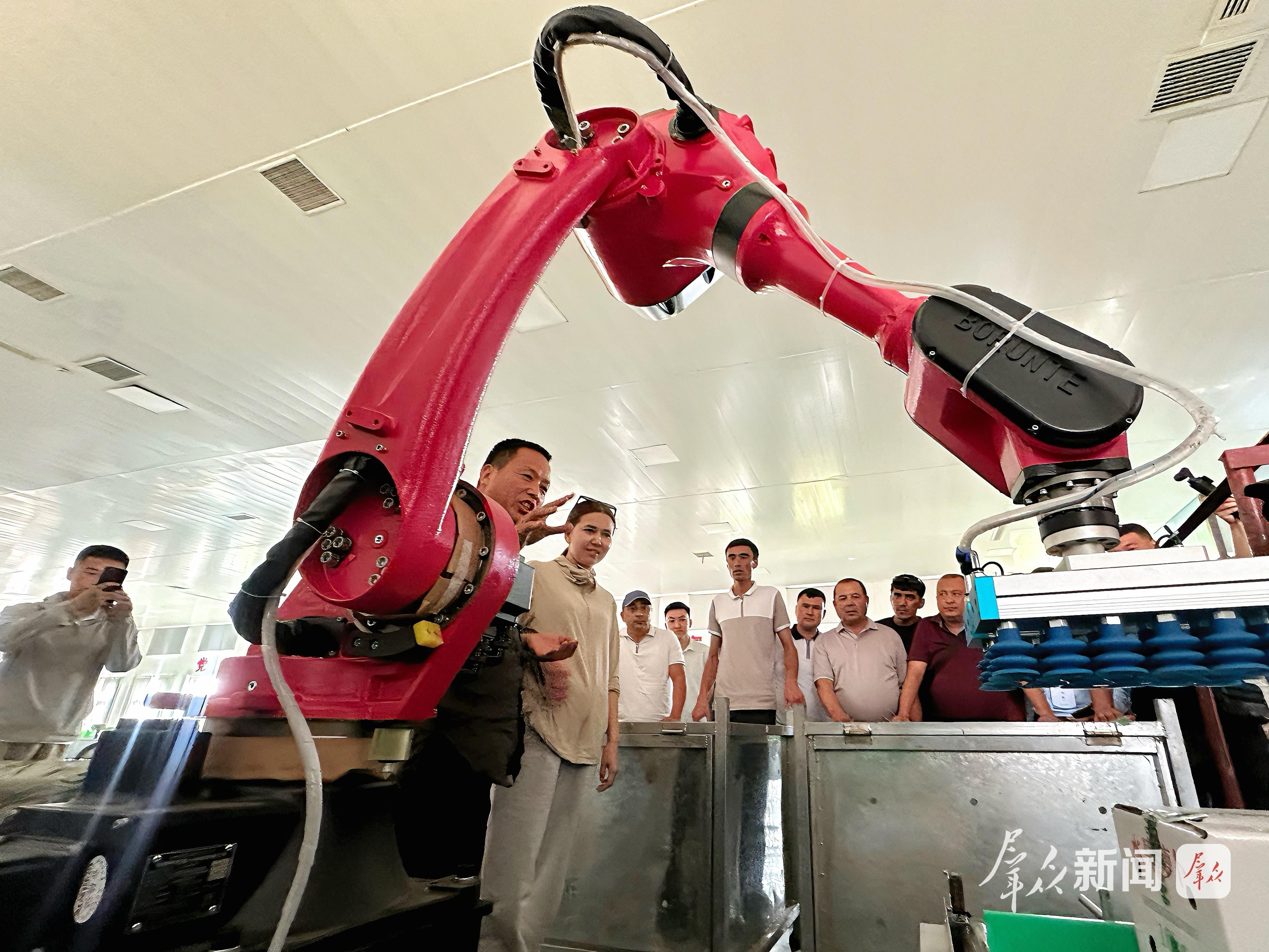 2025年6月14日，中亚五国职业农民培训班的学员在大荔县荔盛农业发展有限公司观摩智能分选设备。 群众新闻记者 陈宏江摄