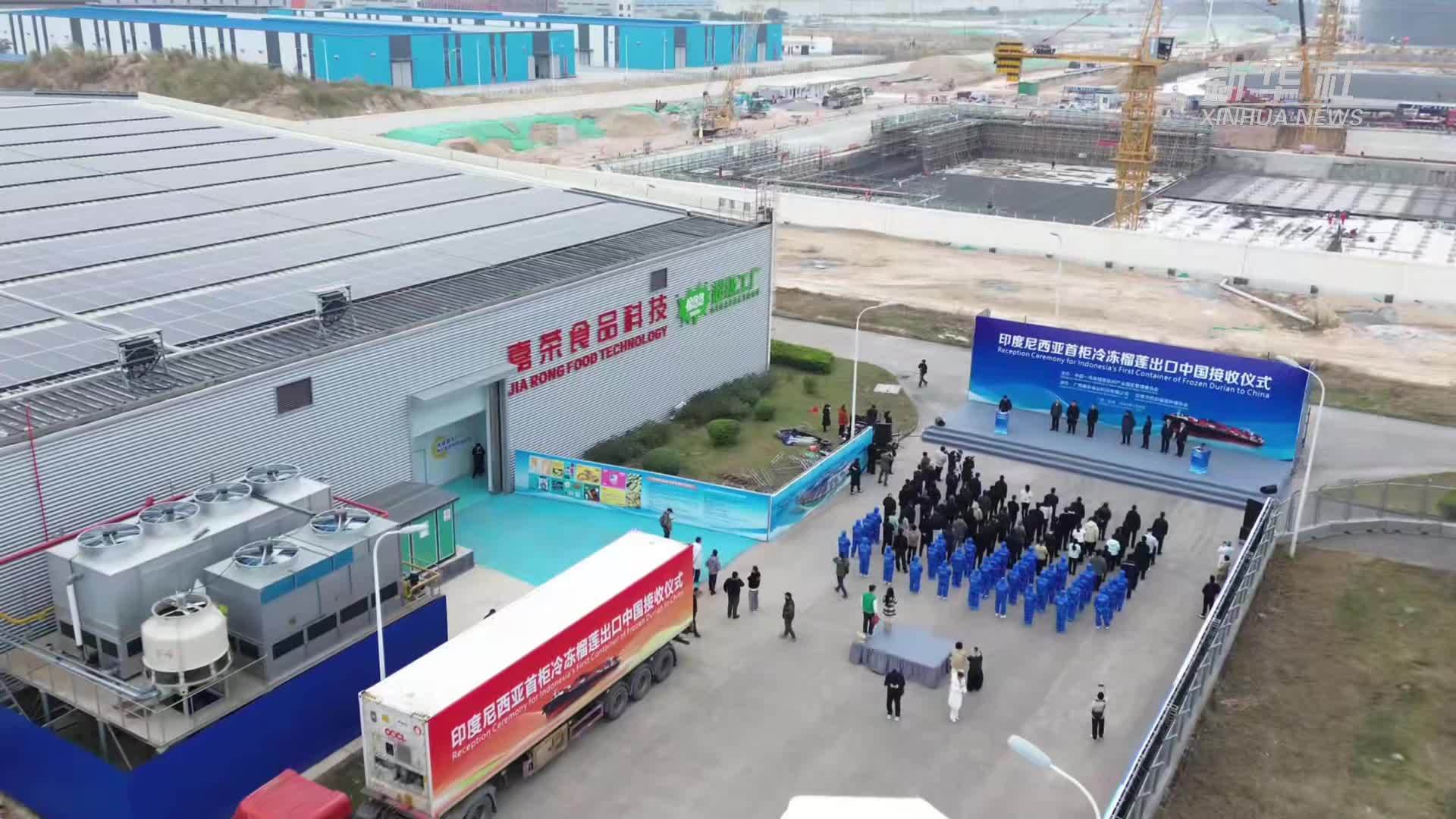 冷冻榴莲北上 中印尼农产品贸易合作再添成果