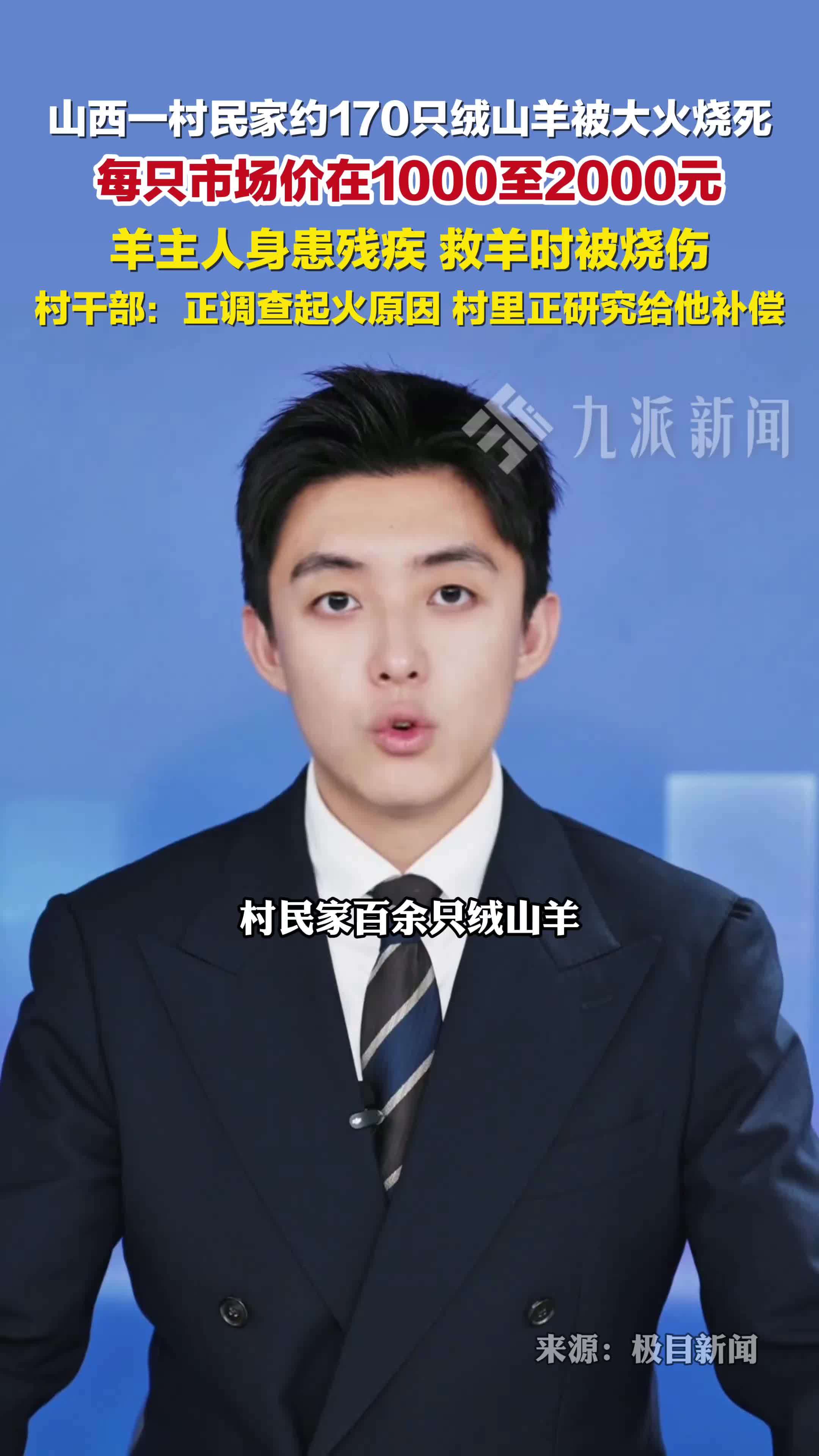 村民家中约170只绒山羊被大火烧死，羊主人身患残疾，救羊被烧伤