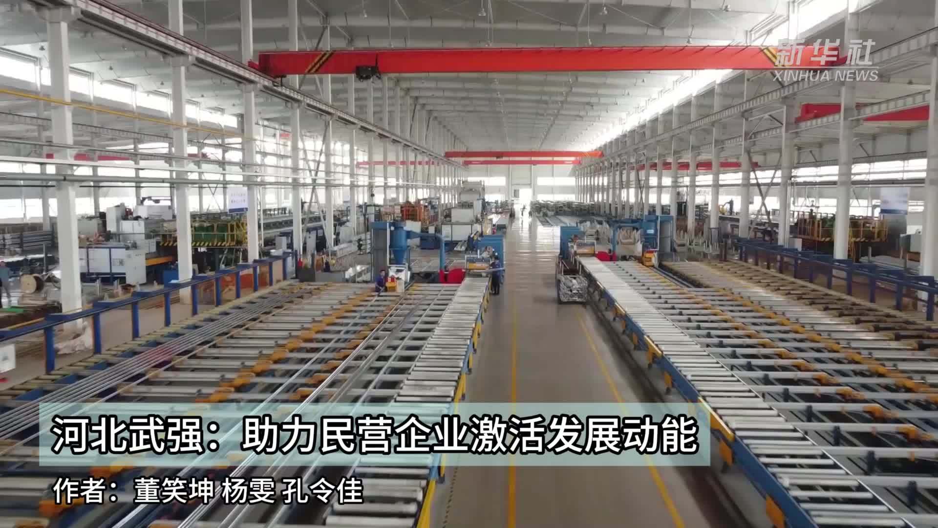 河北武强：助力民营企业激活发展动能