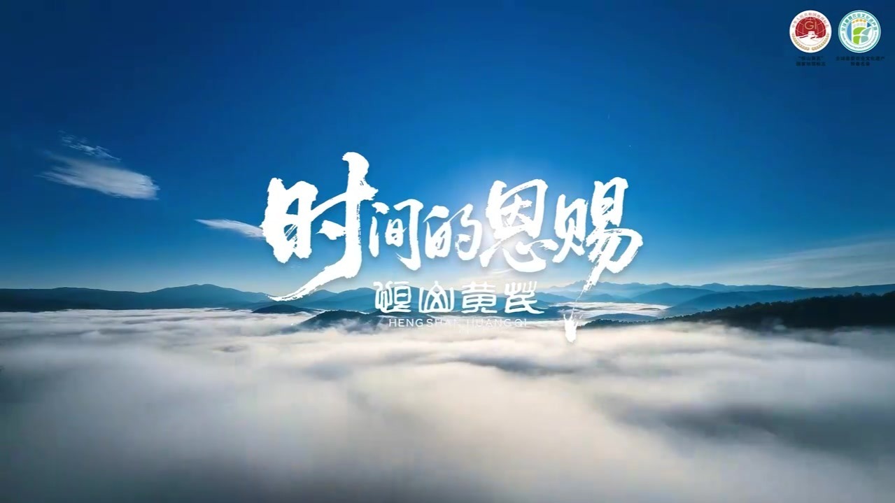 时间的恩赐——恒山黄芪