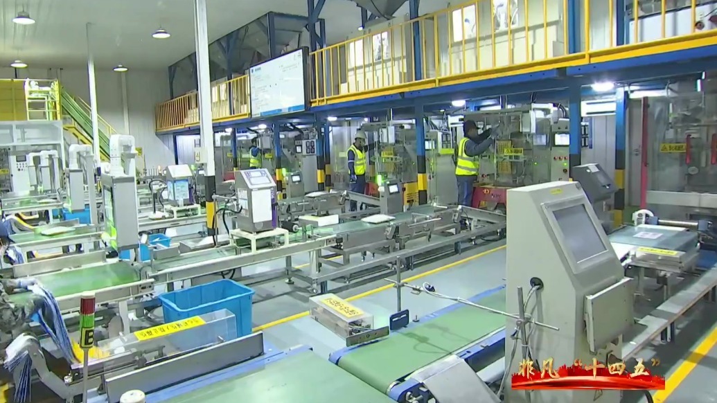 甘肃肃州向新而行向优发力　解锁产业升级密码