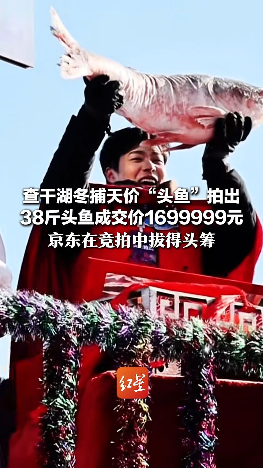 查干湖冬捕天价“头鱼”拍出 38斤头鱼成交价1699999元 京东在竞拍中拔得头筹 将直播抽奖免费送给网友