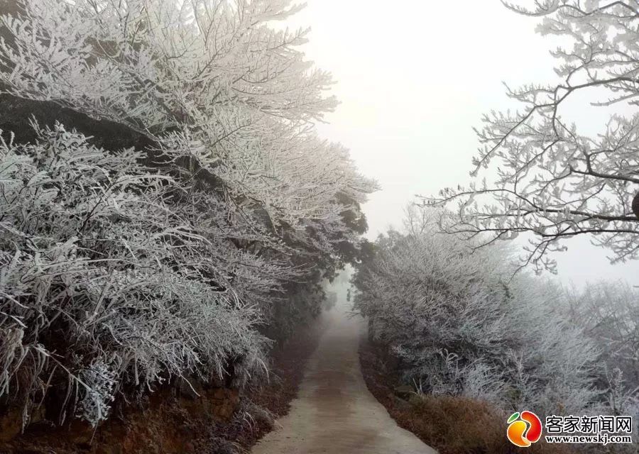 图源：客家新闻网