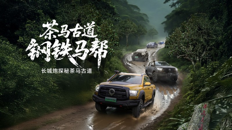 共创、共享、共赢 长城皮卡携手用户让中国皮卡在全球流行起来