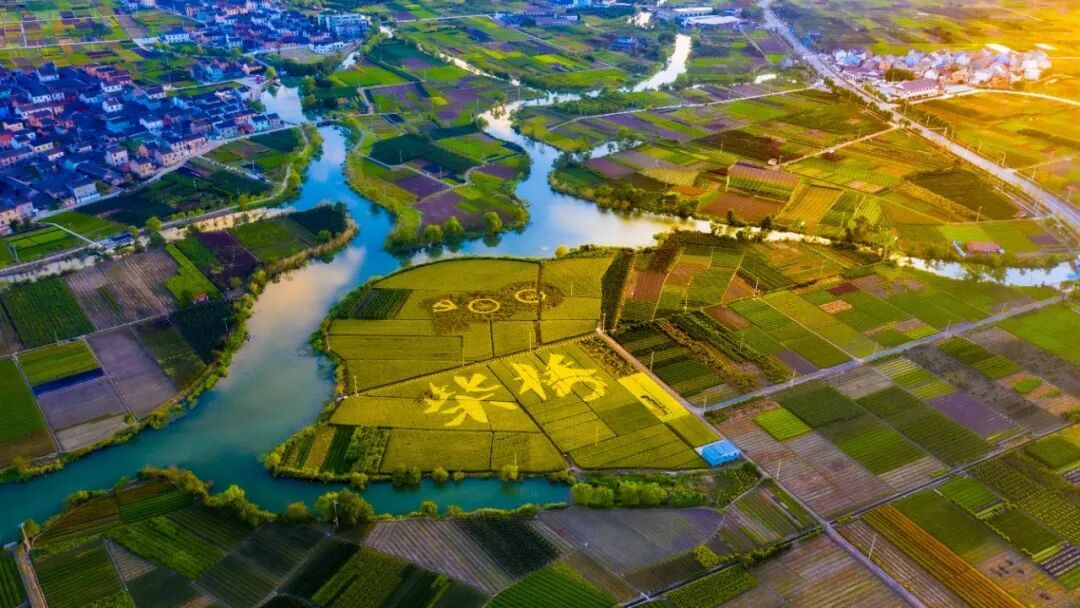 杨云中 水网夕照.JPG