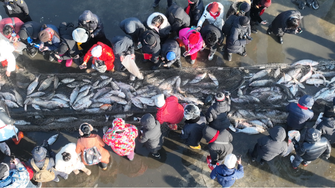 “雪映肇东 福鱼献瑞”丨库塘沐第八届冬捕渔猎文化节启幕