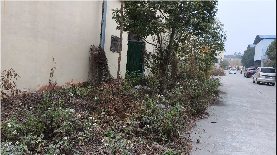 直击新余一农批市场脏乱现象：环境卫生如何保障“舌尖上的安全”？