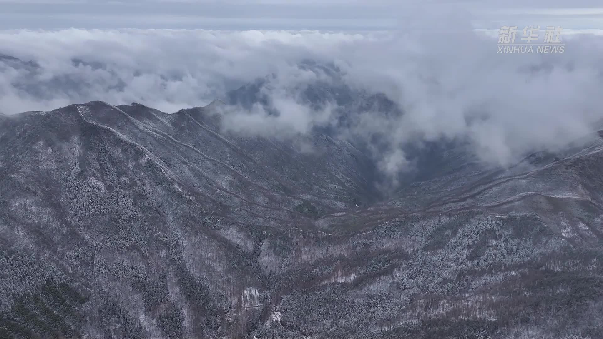 杭州临安天目山：雾凇云海扮靓冬日山林