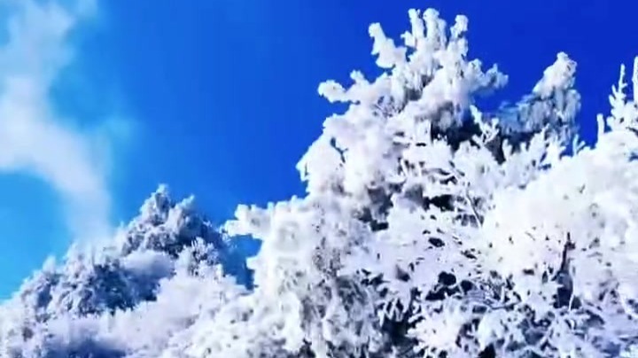 谁懂啊！甘肃康县青龙山一下雪就美成仙境