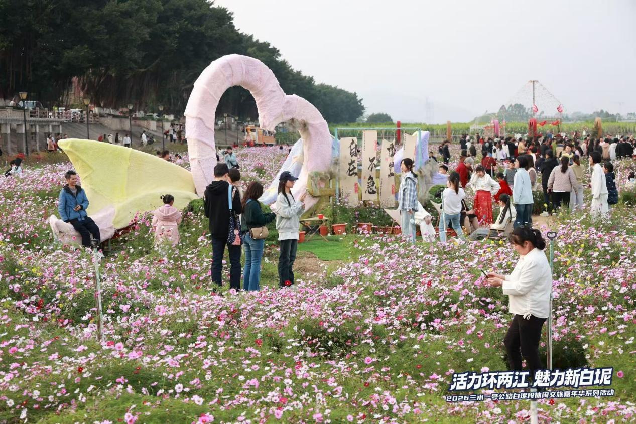 三天引客15万+!白坭元旦何以现象级出圈?