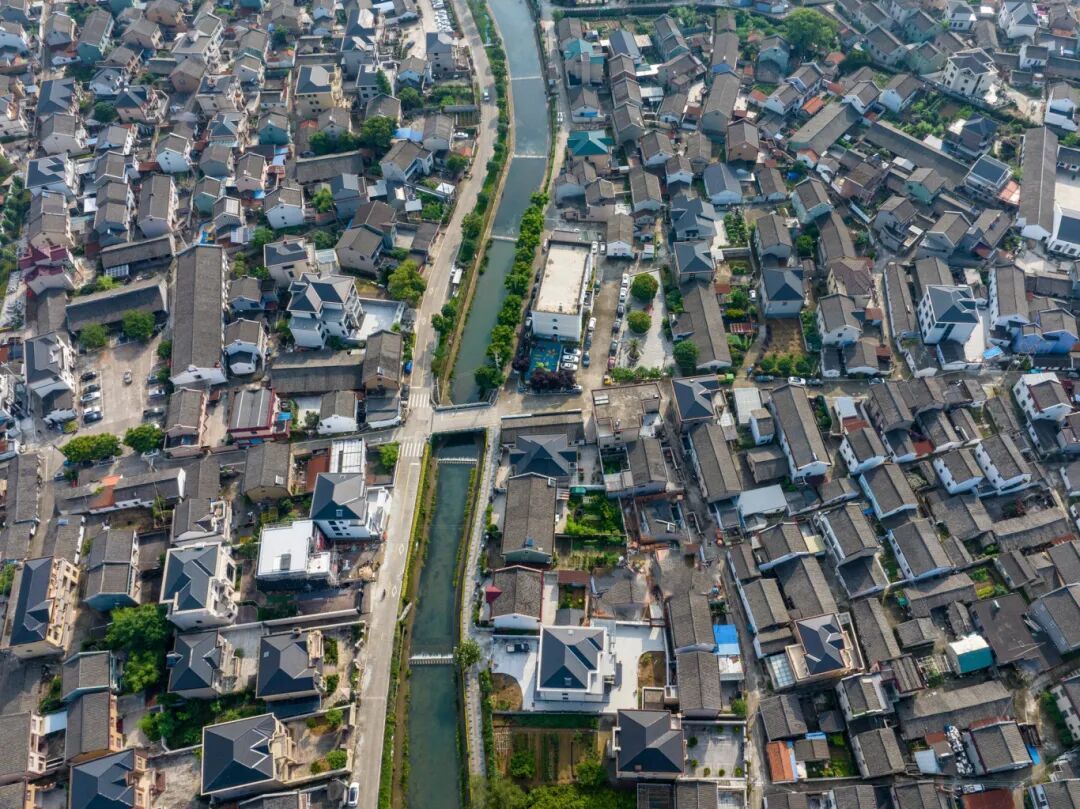 旧土地长出新产业！柴桥五年“大变样”