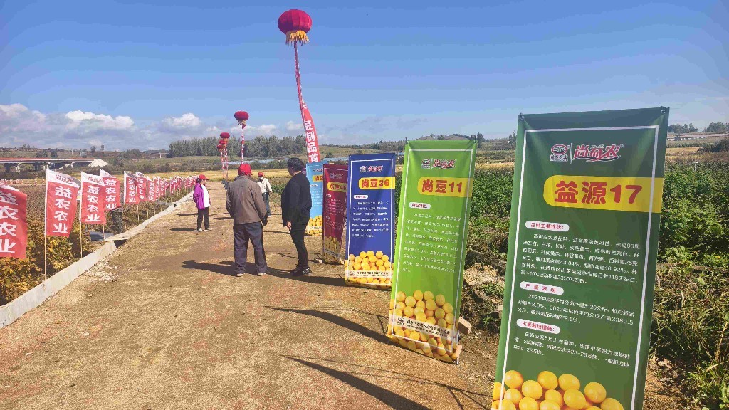 2025年尚志市大豆品种示范基地观摩会