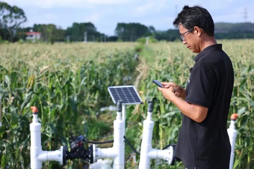 全国74席，丰农控股独占两席！入选农业农村部智慧种植典型案例