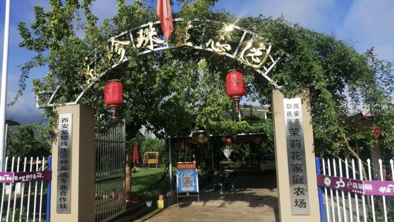 西安农业经营主体突破1.5万家 多层次体系加速形成