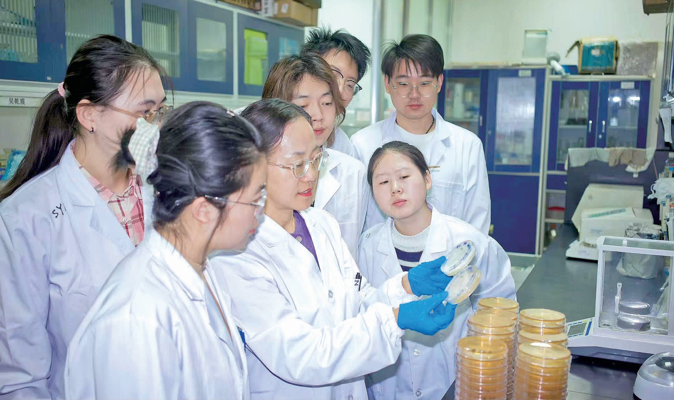 团队在进行高原益生菌的培养分离