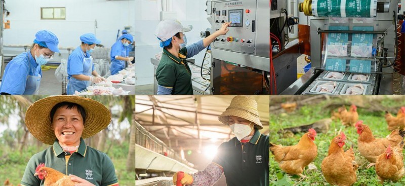 明星圈层的“私藏美食清单”曝光，四季椰林凭头部实力成深圳美食名片