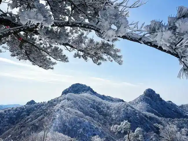 元旦假期山东文旅市场热力绽放 468.2万人次畅享文旅盛宴