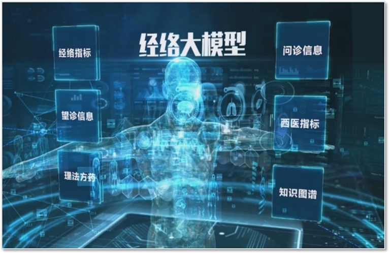 经络大模型概念图。受访者供图