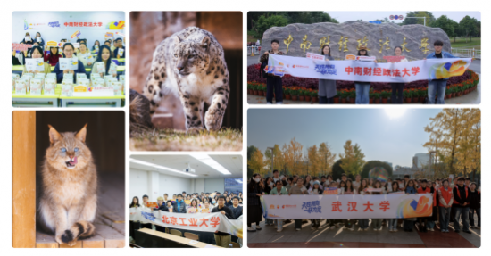 点击查看原始图片