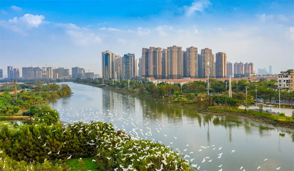 顺德：将全面吹响打造产融协同“资本活区”的新号角