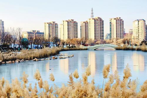 1月8日,衡水市桃城区怡水园,经过海绵化改造后,这里的环境更加宜人。本报记者 焦磊摄