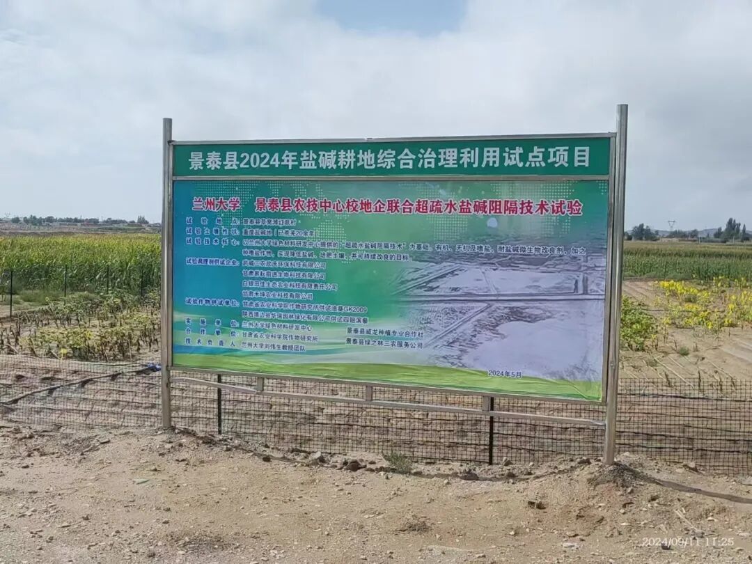 团队在景泰县开展治理试验