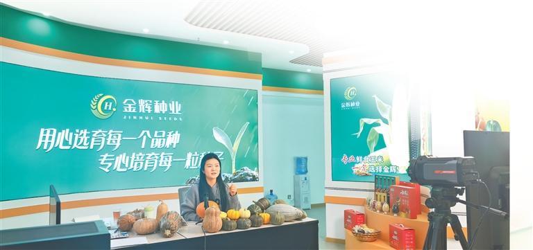 酒泉市金辉农业开发有限公司的主播直播现场　本版配图　新甘肃&middot;甘肃日报记者　冯宝强