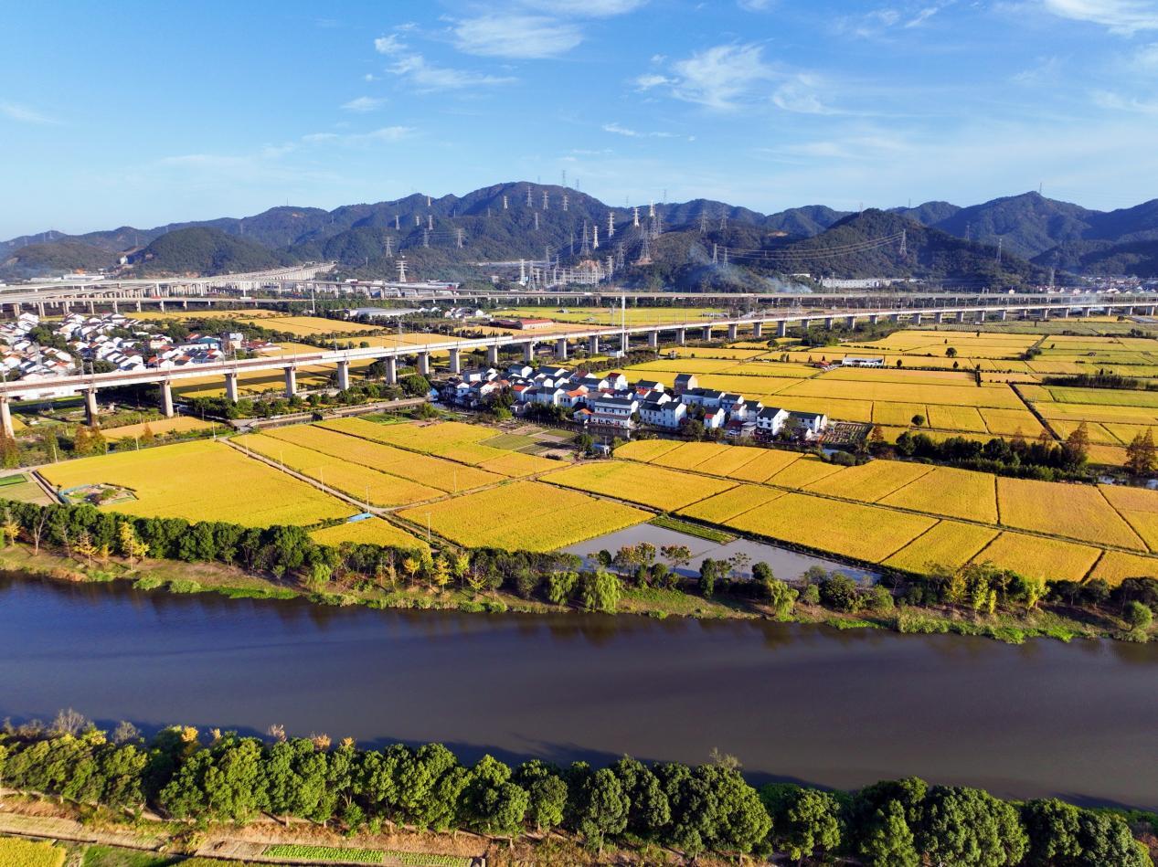 图为小港街道田园风光