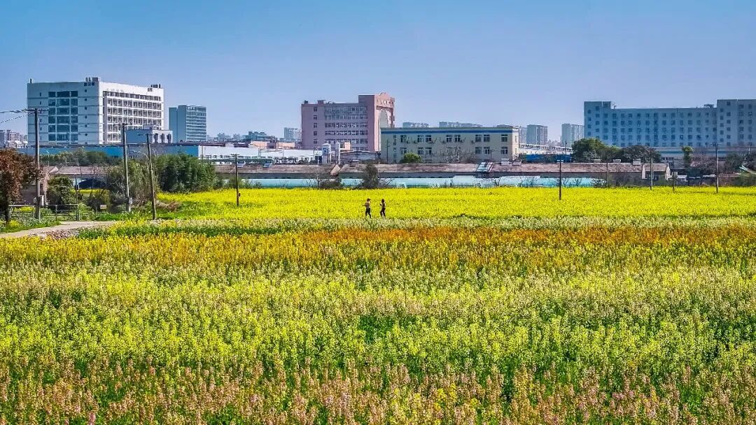 江北这个公园“升级”亮相！